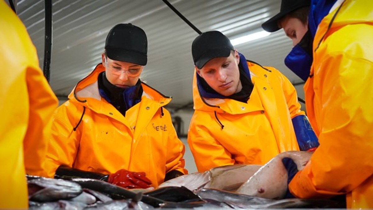 Over 18.000 personer jobber med villfisk i Norge