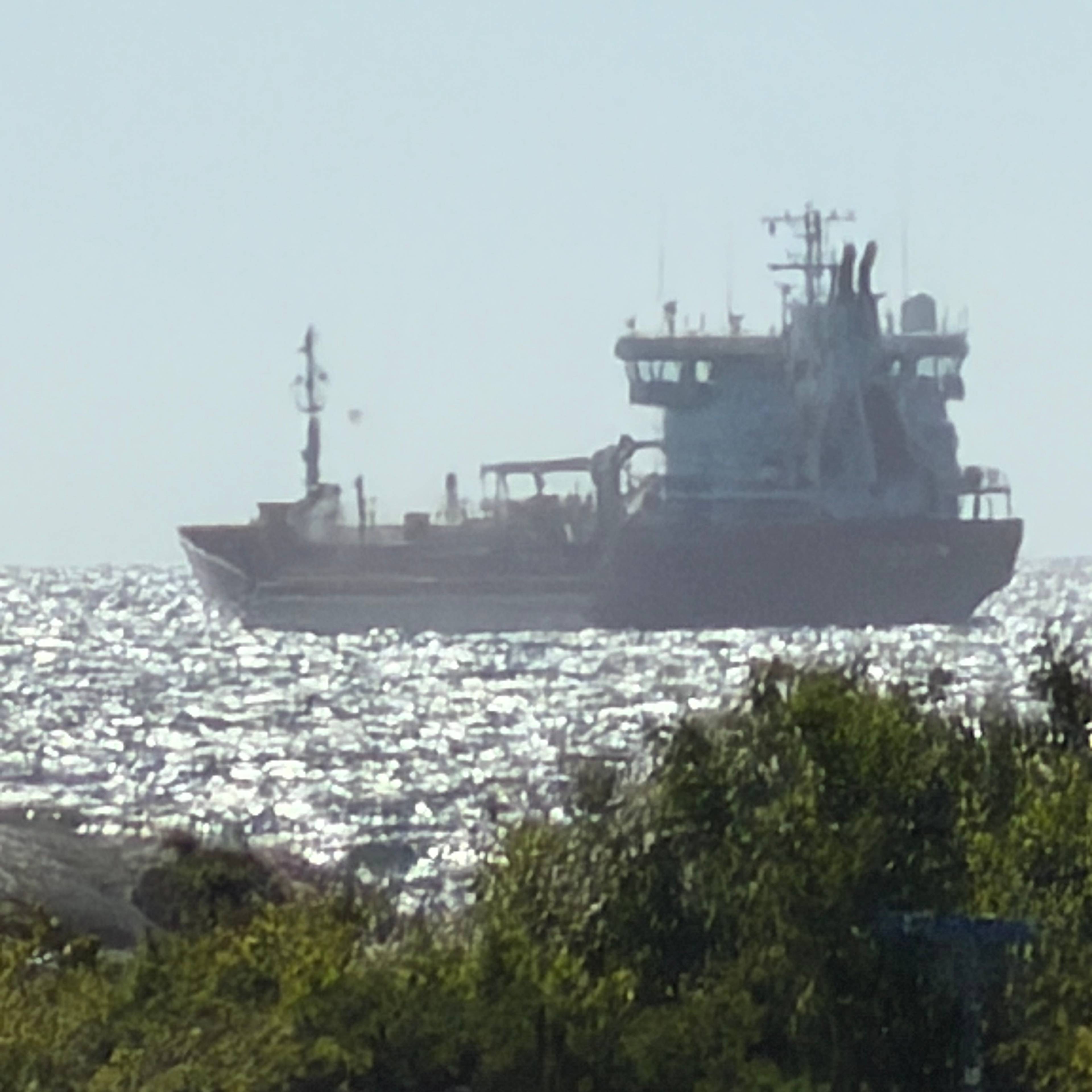 Et lasteskip ligger på havet, sett fra en kystlinje med svaberg og vegetasjon i forgrunnen. (Bildebeskrivelsen er laget av en KI-tjeneste)