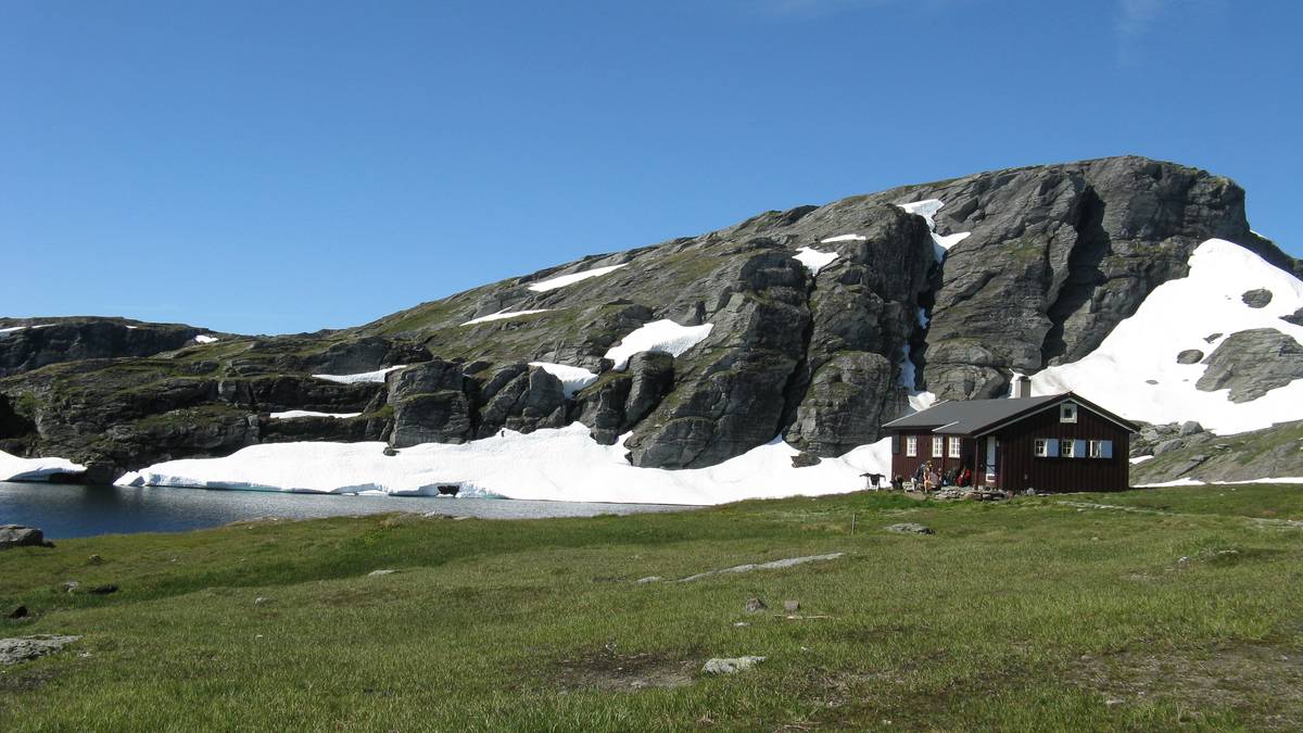 Legger ned turisthytter på grunn av villrein