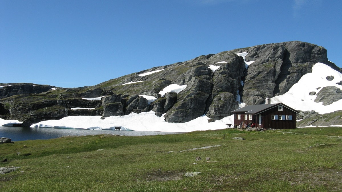 Legger ned turisthytter på grunn av villrein