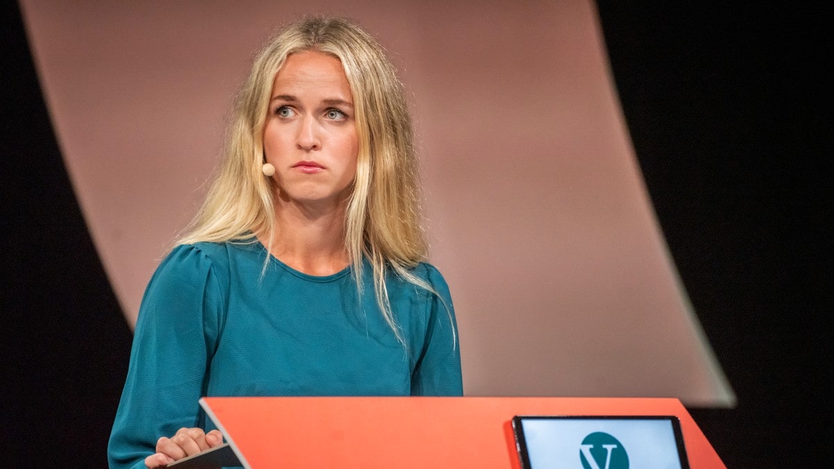 Unge Venstre om norskfaget: – Vi er bekymra