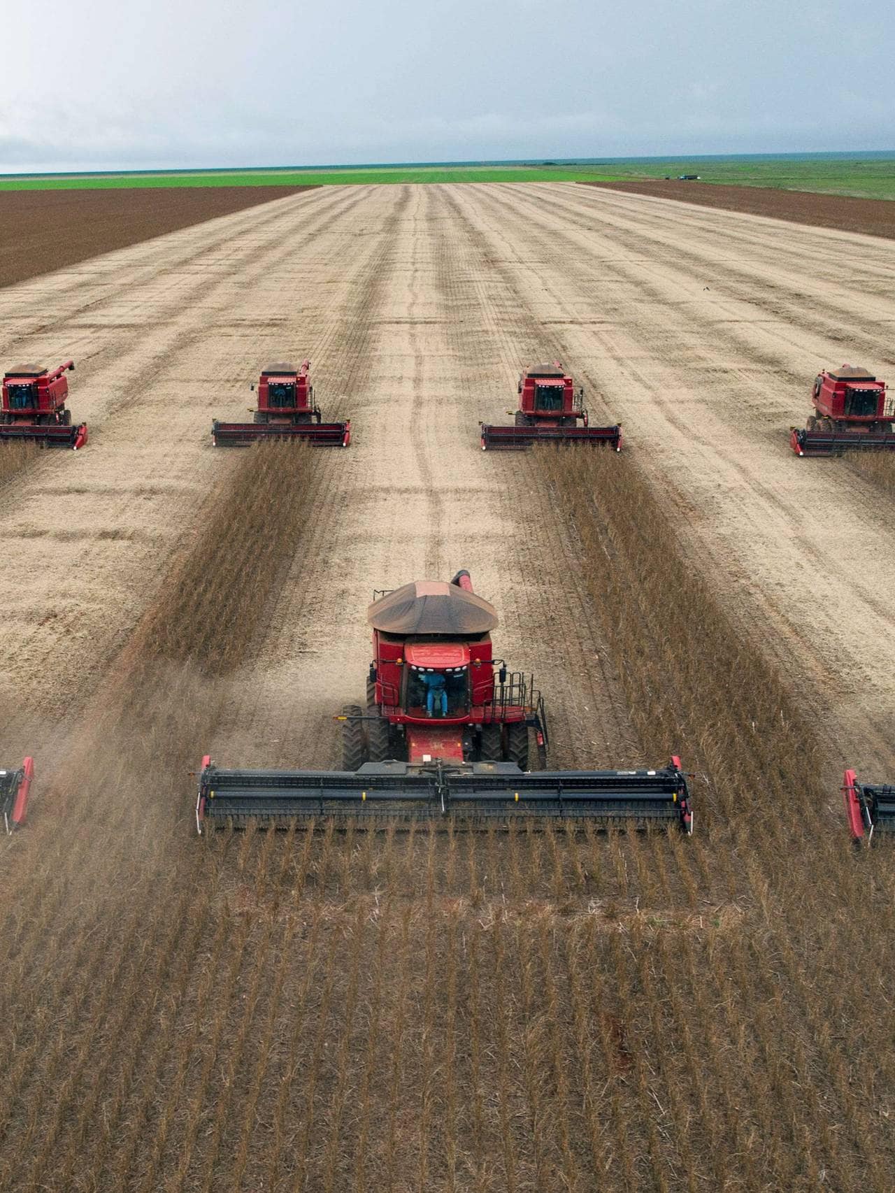 BRAZIL-ECONOMY-AGRICULTURE-GRAIN-SOY-FILE