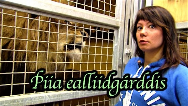 Piia blir kjent med mange forskjellige dyr ved å arbeide som dyrepasser i en dyrehage. Bli med å lær om dyrene du også.
