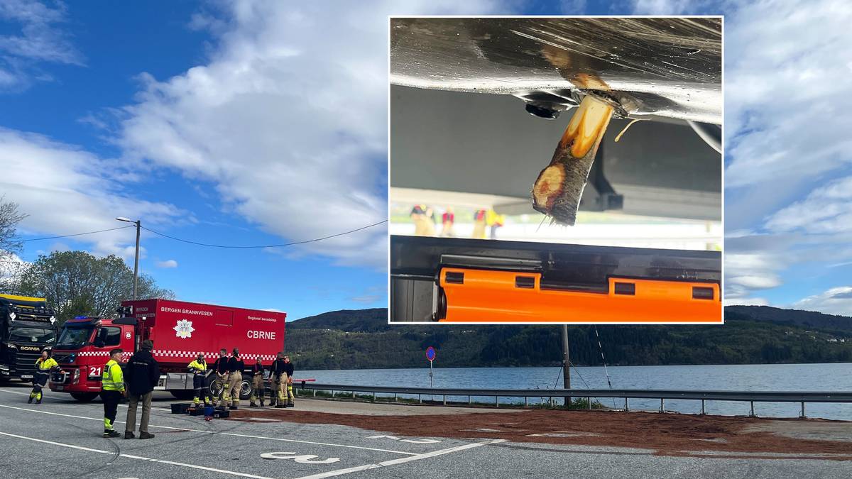 Tankbil lakk diesel rett i sjøen – tettet hullet med pinne fra skogen