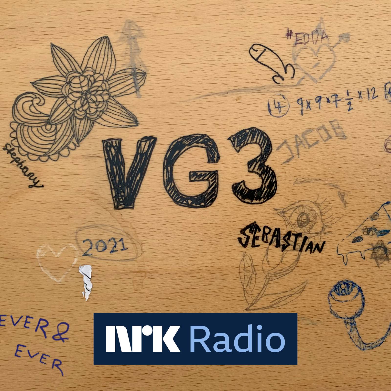 VG3