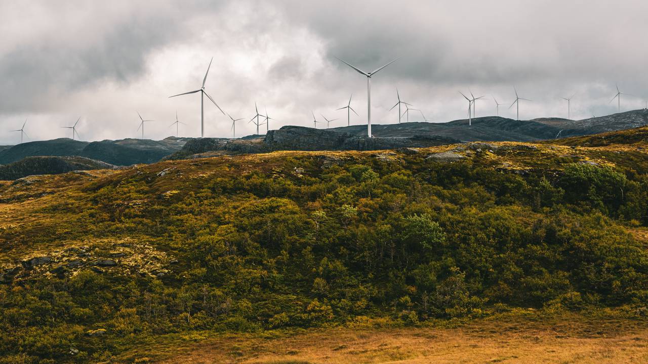Myr sees i forgrunnen, deretter fjell og berg, og i bakgrunnen et titalls vindturbiner.