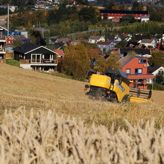 Nedbygging Av Matjord Og Færre Som Vil Være Bønder, Truer Norsk ...