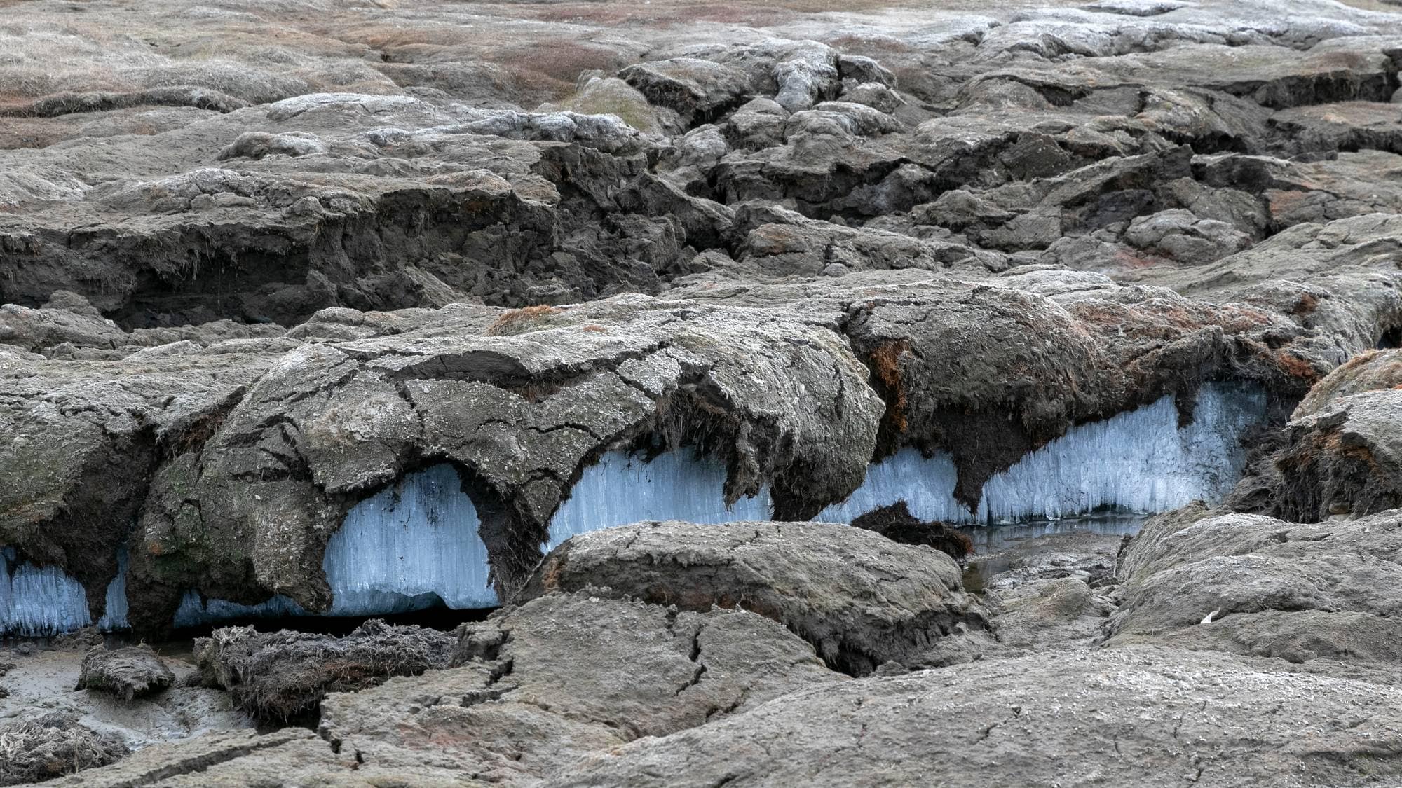 Permafrost bryter opp på Svalbard