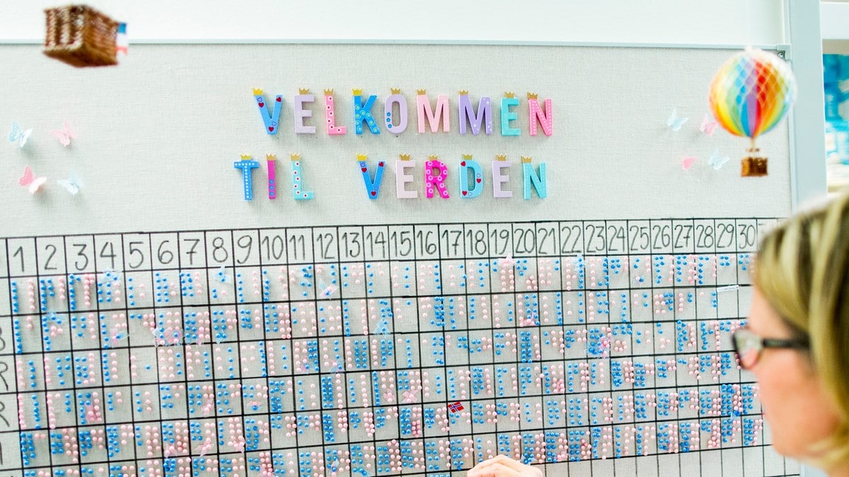 F&oslash;dselstala aukar framleis