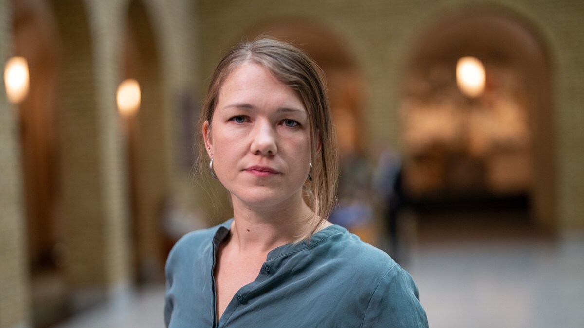 Mener ulvebestanden generelt bør være større