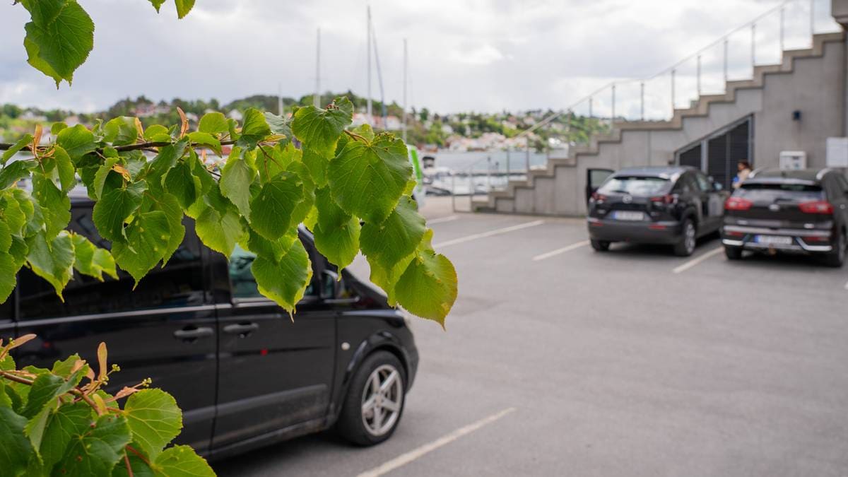 Anker dom for drapsforsøk