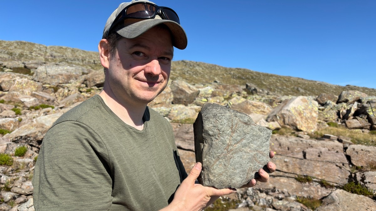 Fann 385 mill. år gamalt plantefossil: – Eg sa nokre ukristelege ord