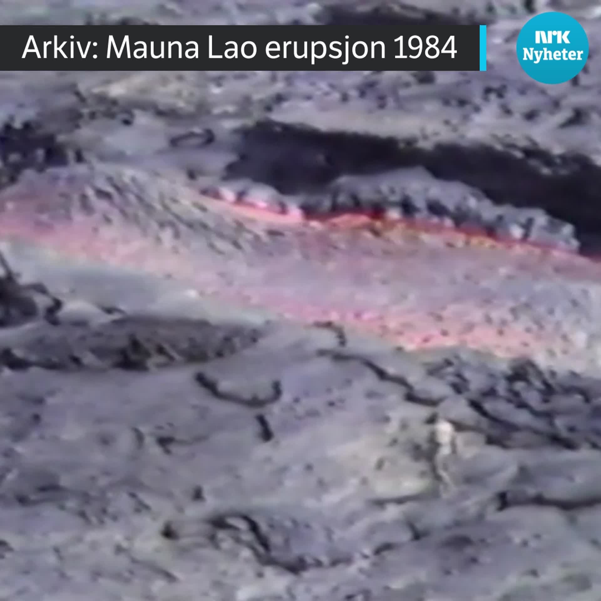 The world’s largest volcano Mauna Loa is erupting – NRK Urix – Foreign news and documentaries