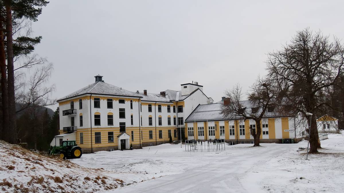 Vil ikke overta Landeskogen