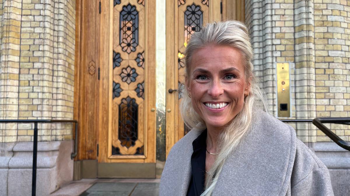 Raser mot språkråd i veileder