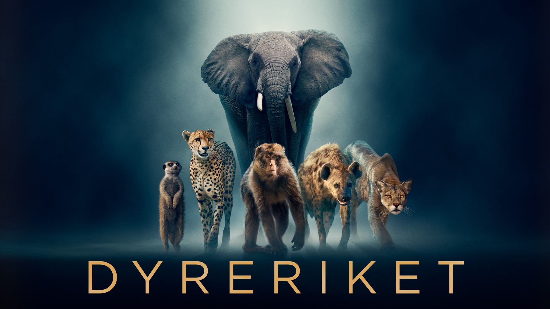 dyreriket-nrk-tv