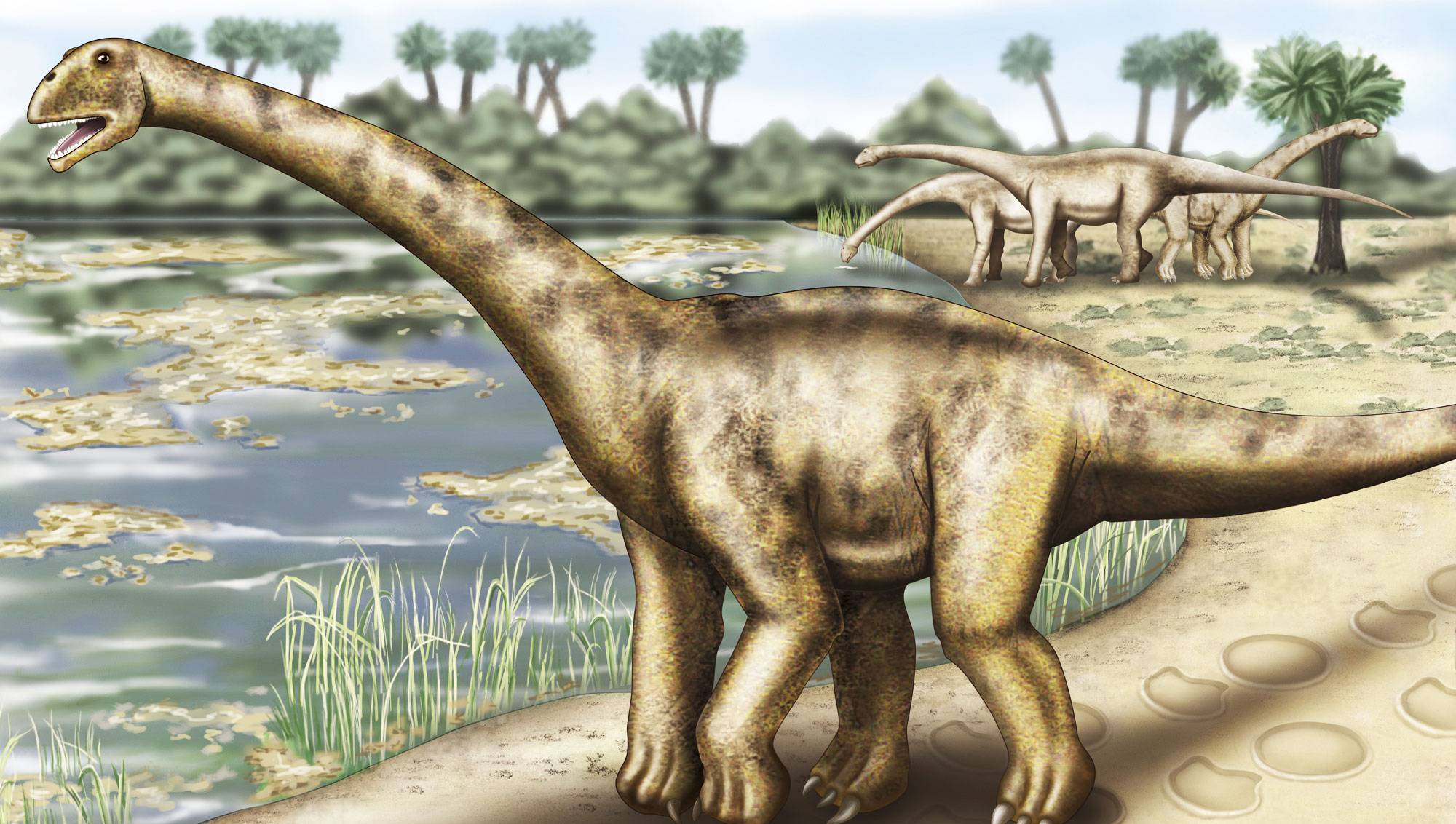 Когда жили динозавры видео. Патагозавр. Жираффатитан. Завроподы Юрского периода. Самые первые динозавры на земле.