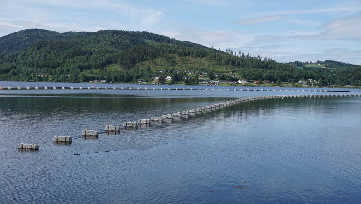 Rørarbeider i Mjøsa – NRK Innlandet – Lokale nyheter, TV og radio