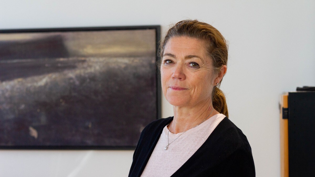 Skogen Lund trekker seg som Schibsted-leder