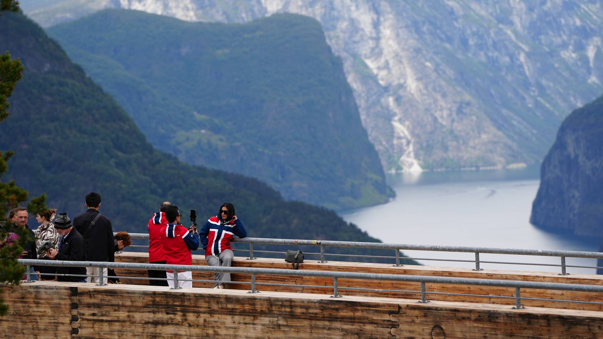 Turister som ser utover ein fjord.