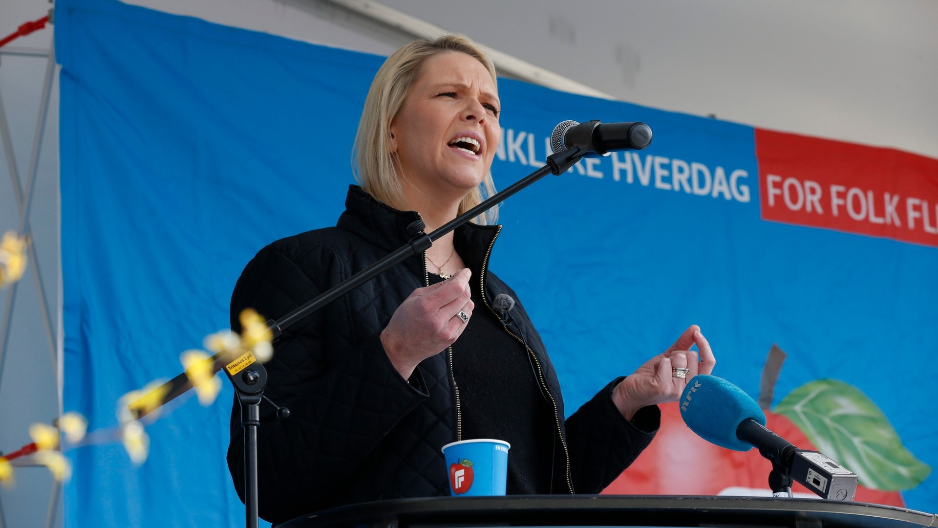 Listhaug Vil Ha Arbeidspraksis For Nylig Ankomne Innvandrere – NRK ...