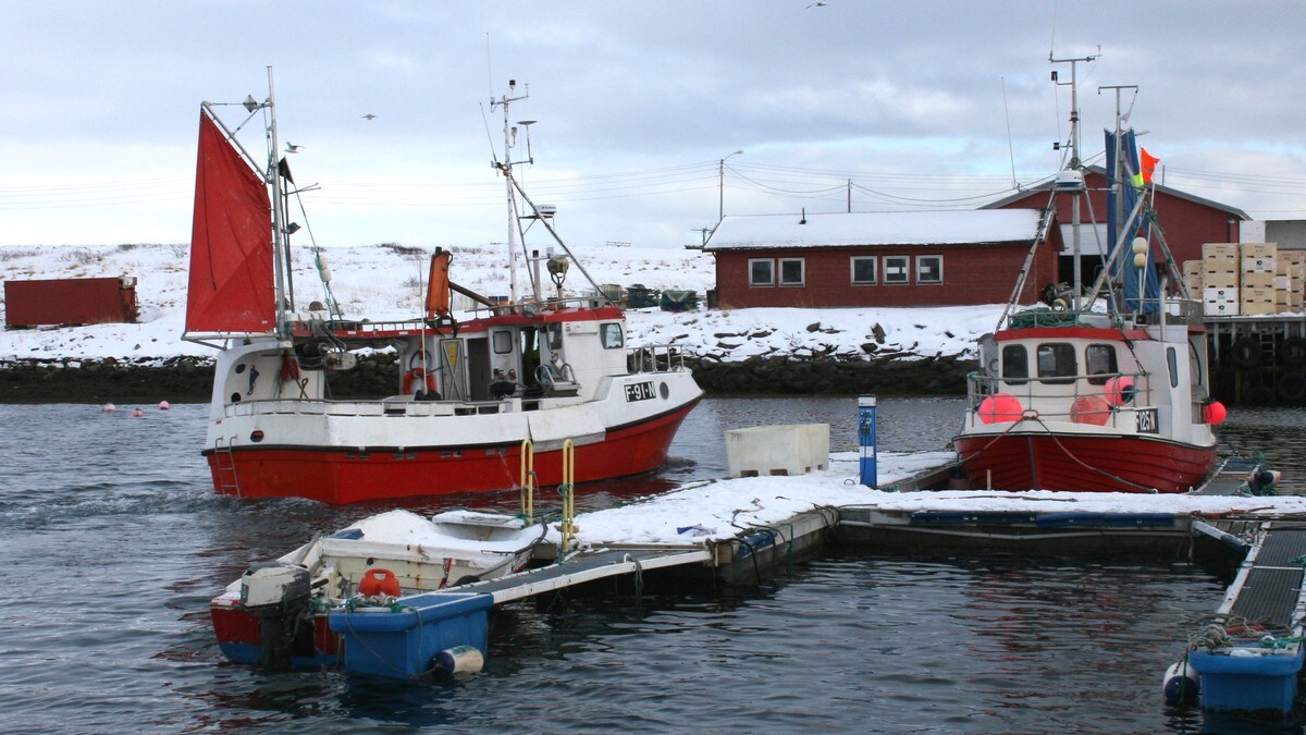 Torskekvote finnmark