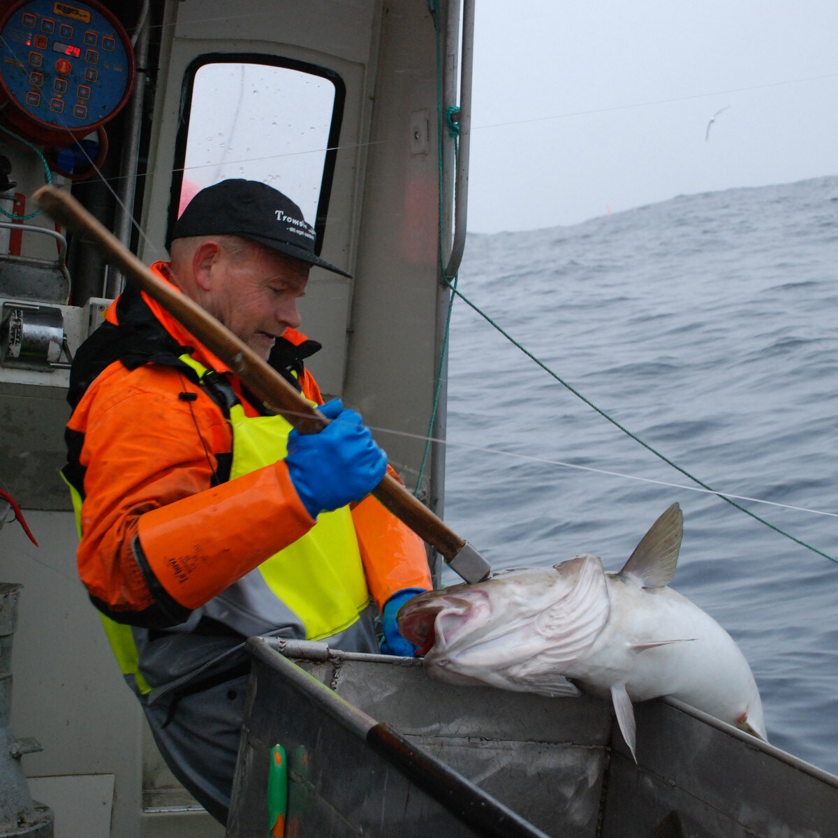 jukse fiskeredskap jukse fiskeredskap