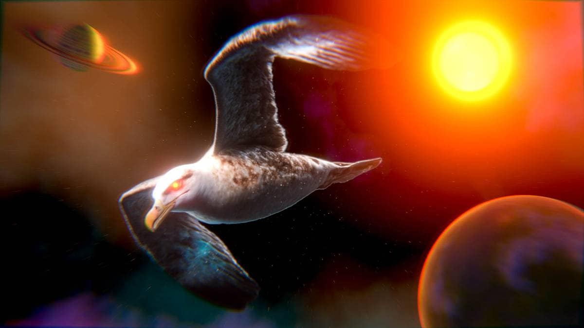 How do you get to other solar systems?  Maybe you can fly like an albatross – NRK Nordland