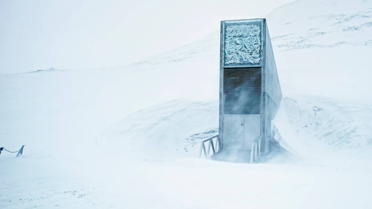Svalbard Globale Frøhvelv i dagslys