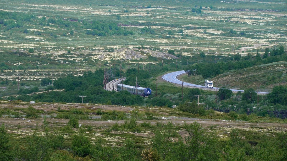 Reagerer på strenge forslag til villrein-tiltak: – Urealistisk