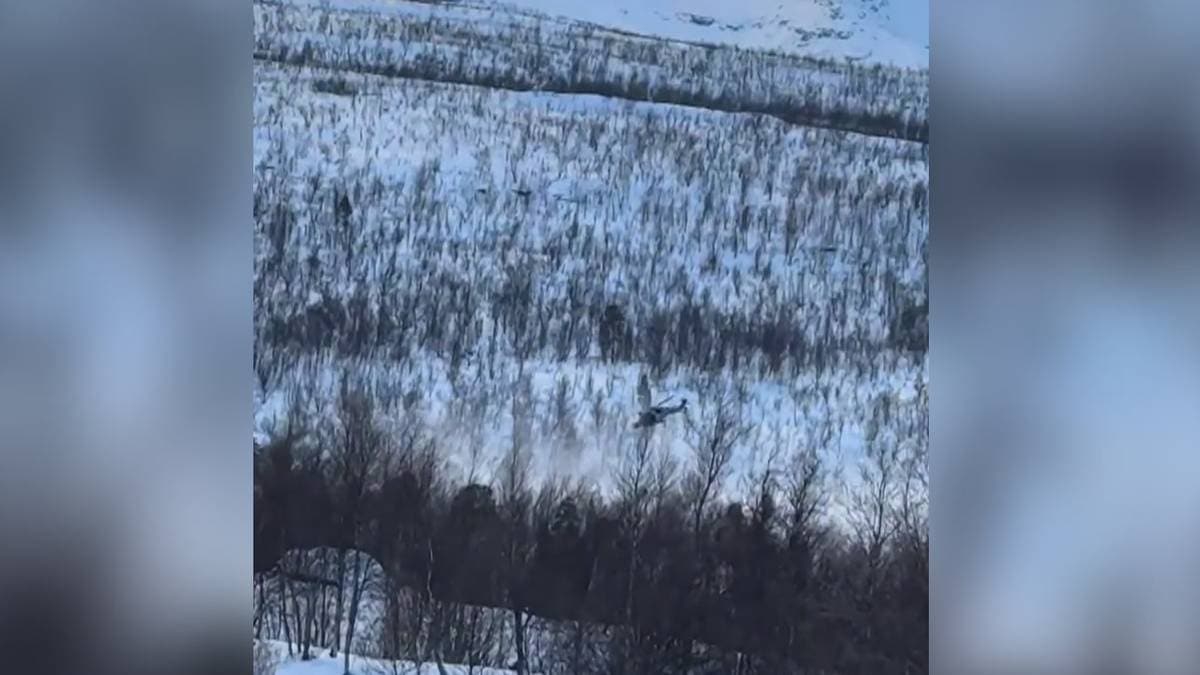 Meiner britisk militærhelikopter flaug nært reinflokken: – Det kostar oss ekstra