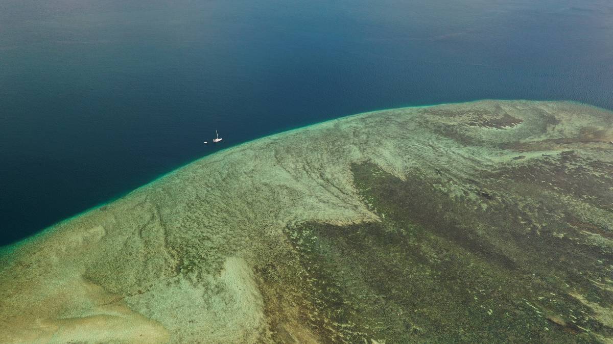 Jordomseilere i ti år: Fant øy som nå er helt under vann – NRK – Klima