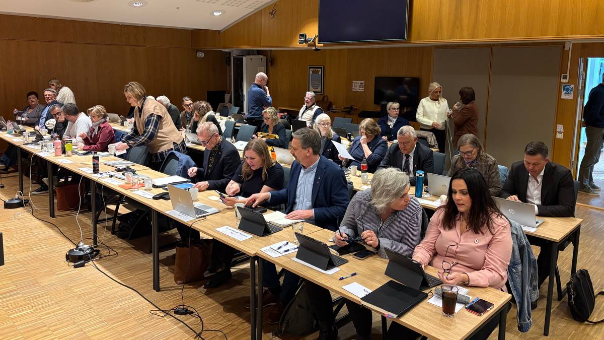 Skal granske varainnkalling til Arendal bystyre