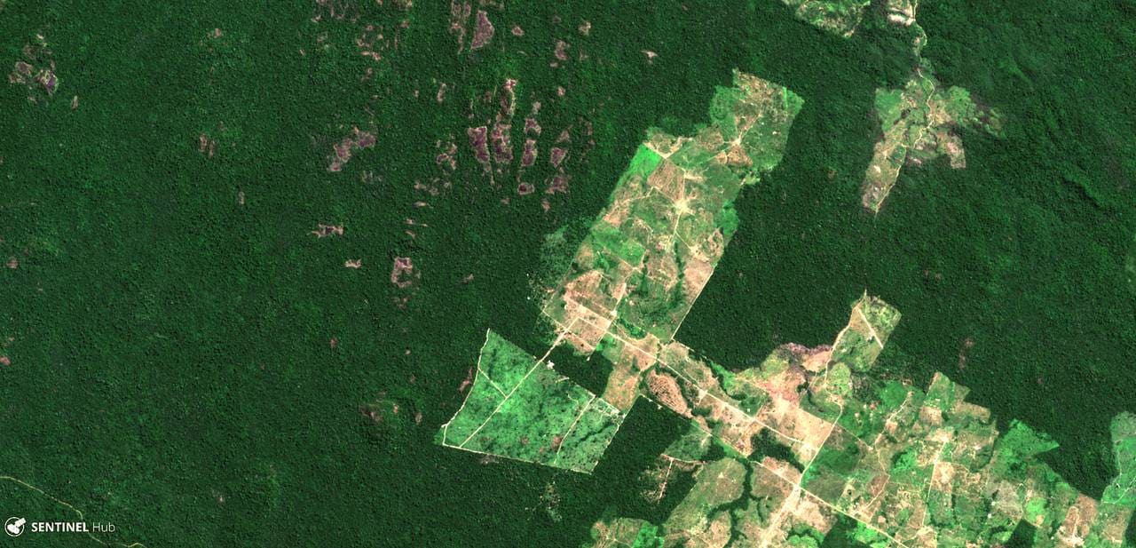Satellitt-bilde over skog i Brasil i 2017