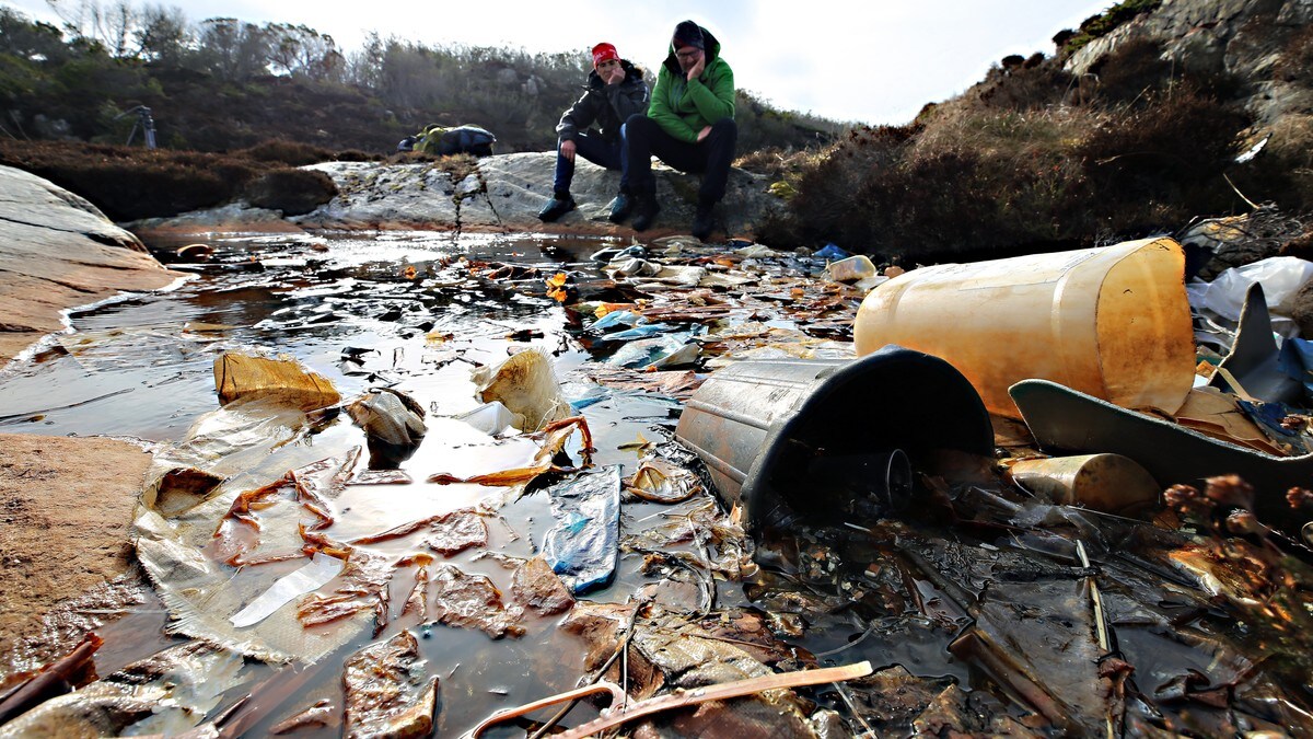  «Skrekkøya» sjokkerte miljøvernere – nå kan plastspisende bakterier bli løsningen