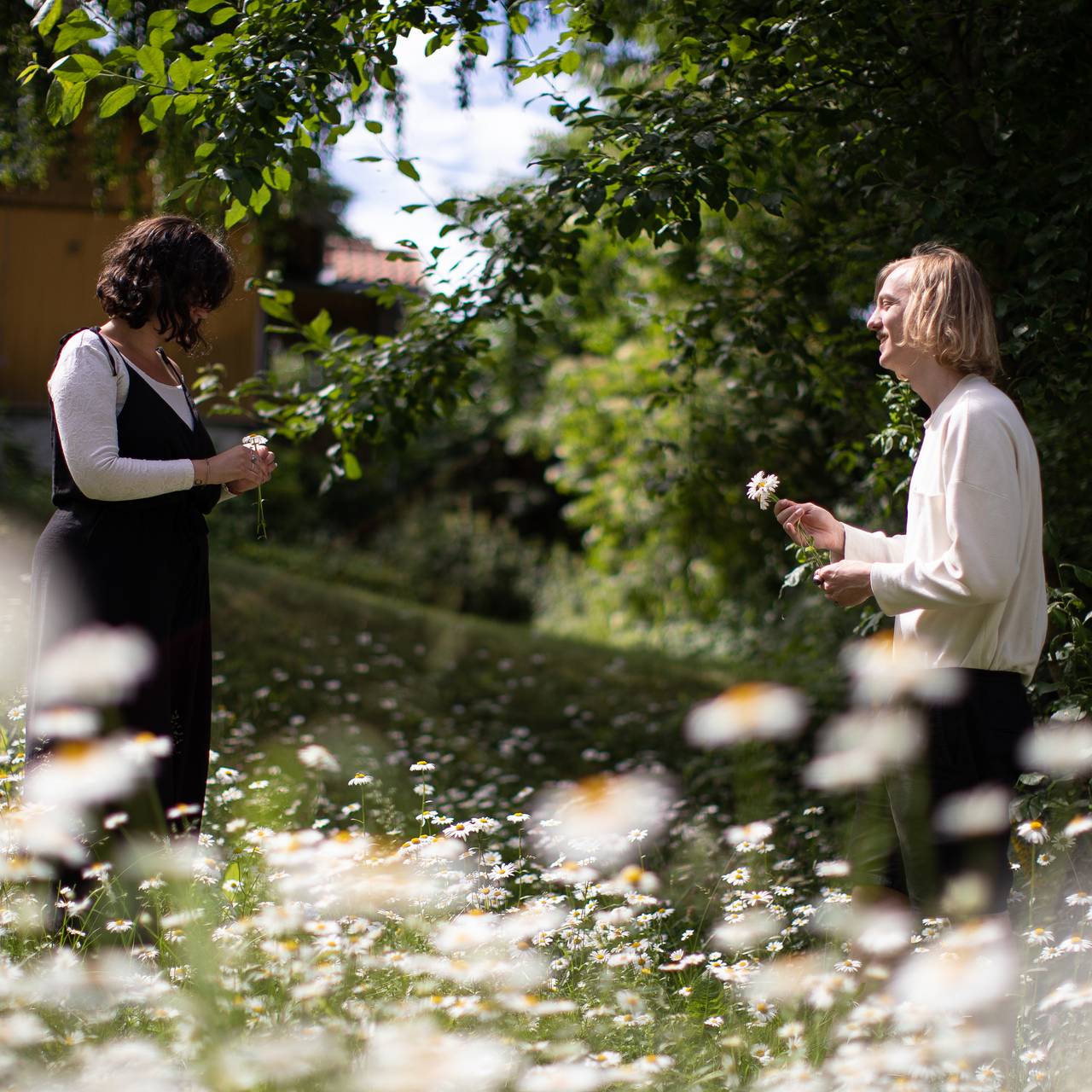 Sommer i kollektivet ute