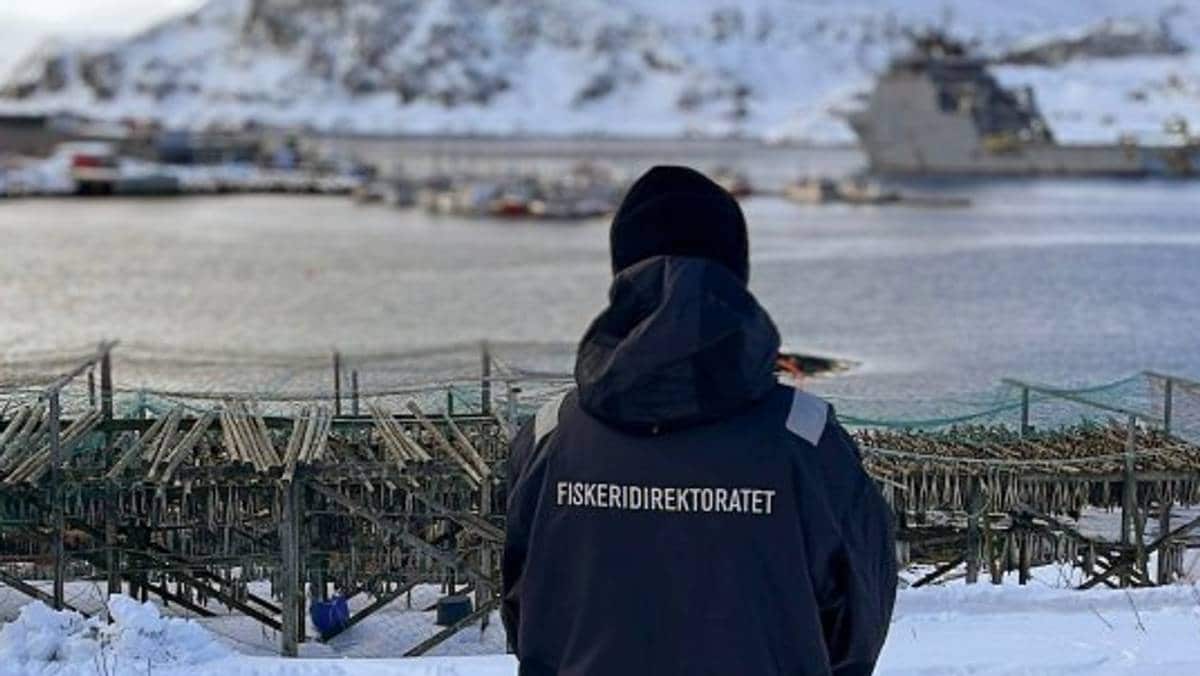 13 personer siktet etter politiaksjon: – Det er snakk om et titalls tonn med fisk og kongekrabbe