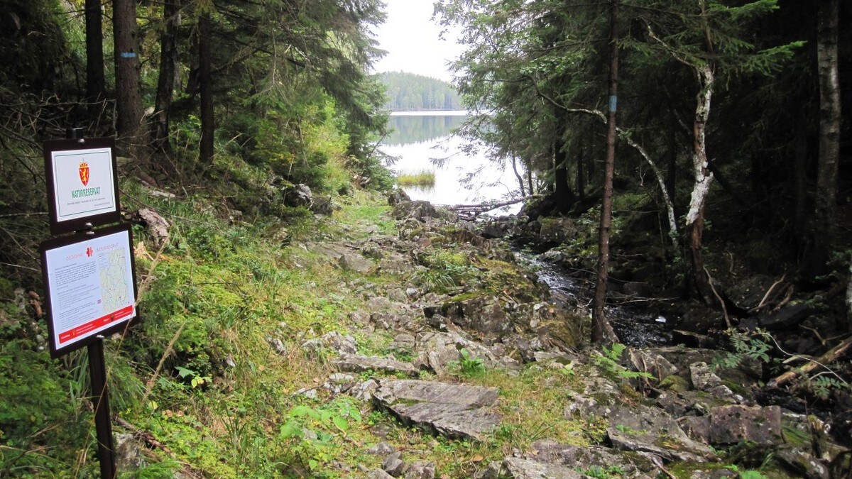 Statsforvalteren anbefaler nasjonalpark i Østmarka