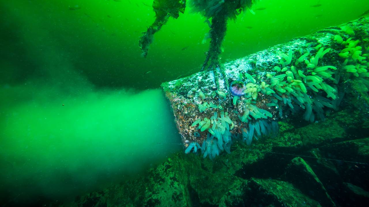 Utslipp av kloakk fra oppdrettsanlegg fra et rør i havet