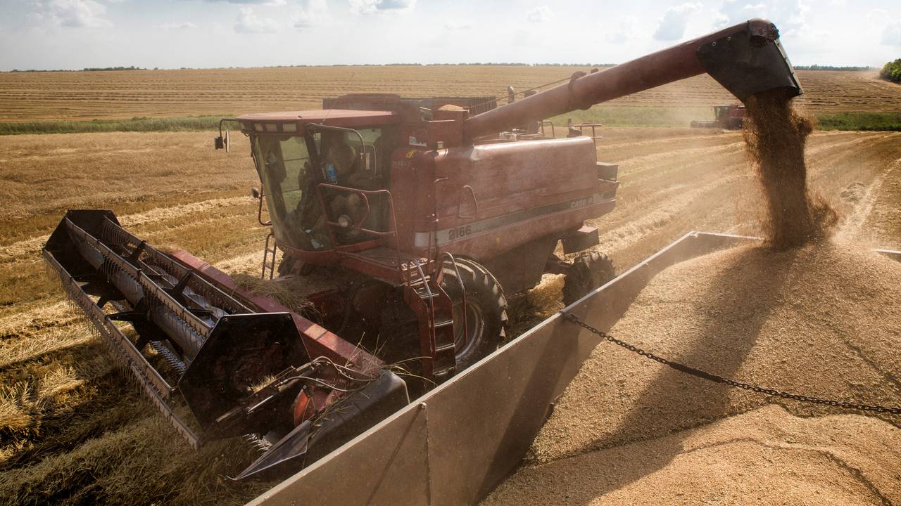 FILE PHOTO: A combine harvester machine loads grain onto a transport truck in Nikolaev, Ukraine