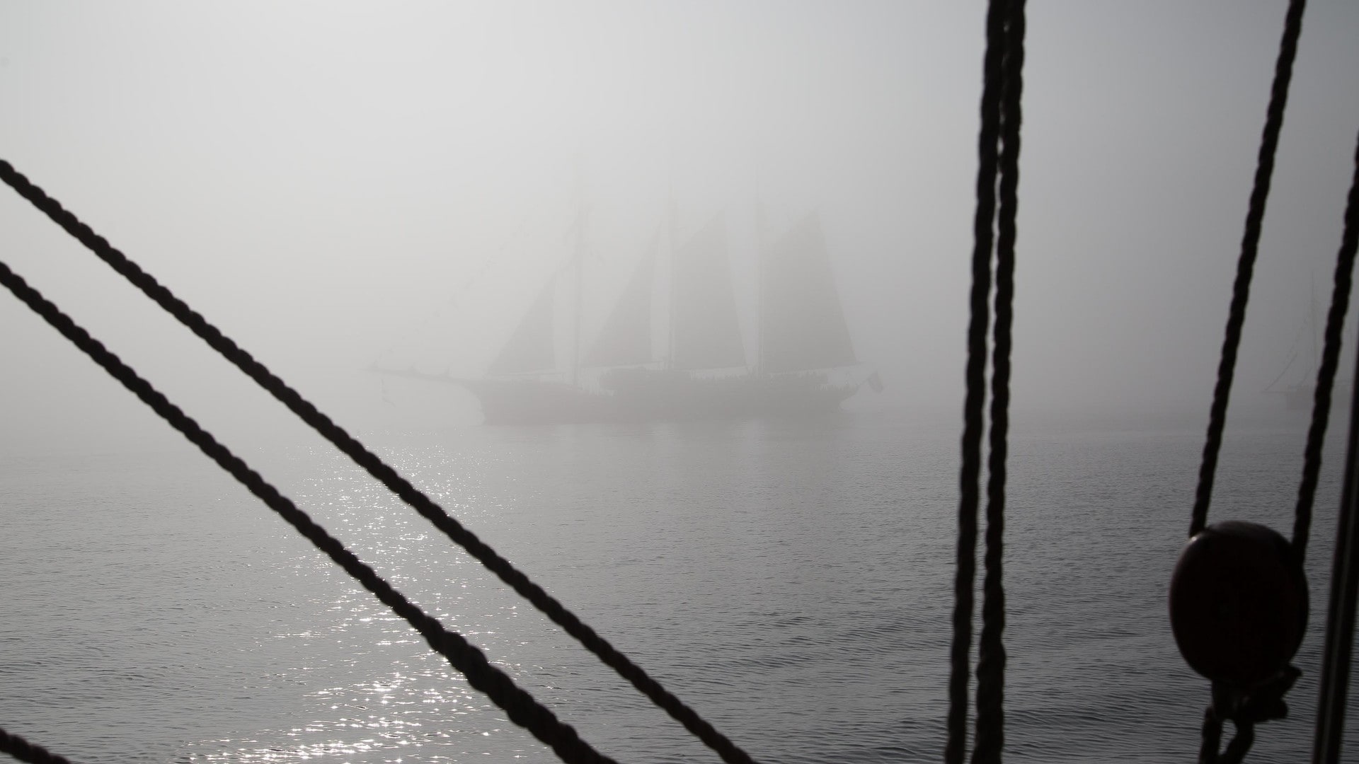Se de spektakulære skutene seile inn til Stavanger