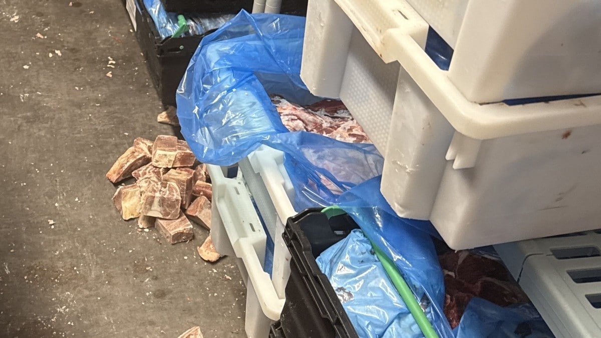 Oppdaget grove brudd hos kjøttbransjen: – Svært dårlig renhold