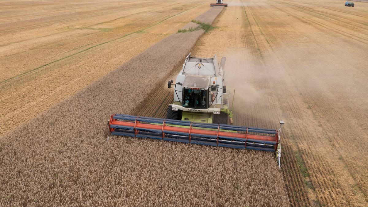 Russian Grain Agreement Expires, Threatening Global Food Security