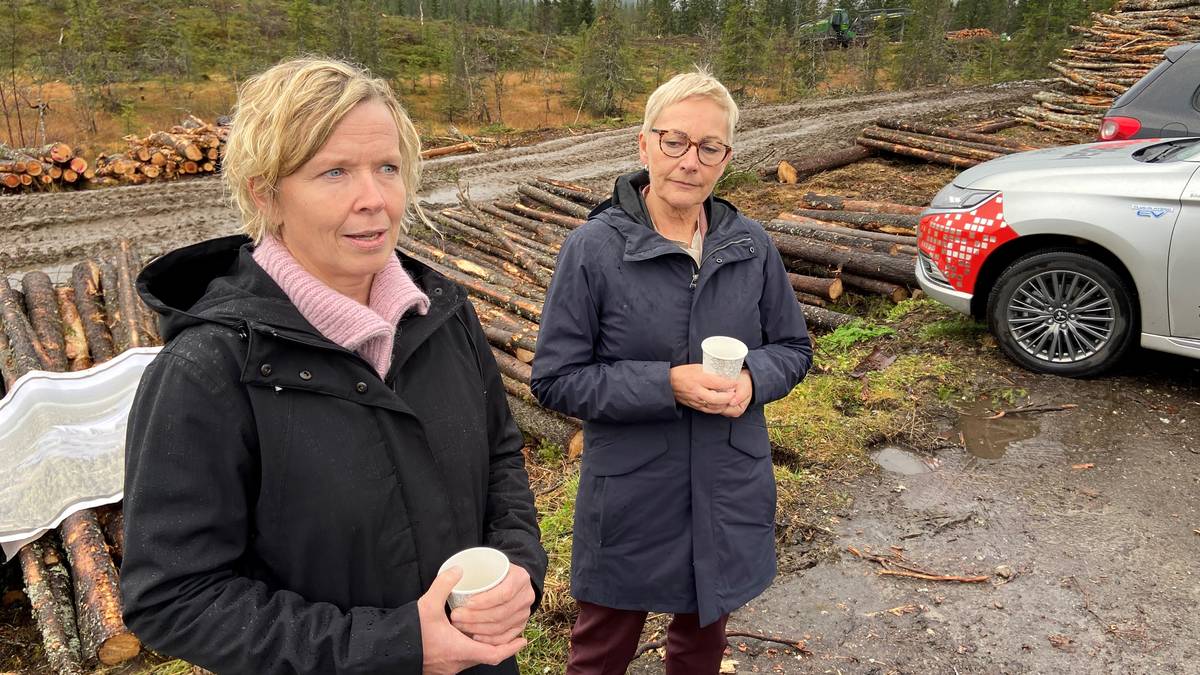 Gir 30 millioner til ny flyplass NRK Nordland