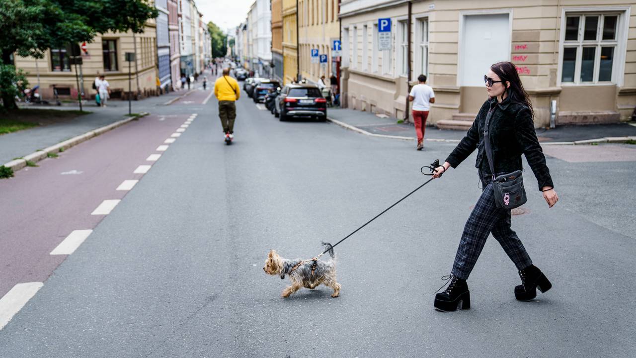 Regine lufter hunden