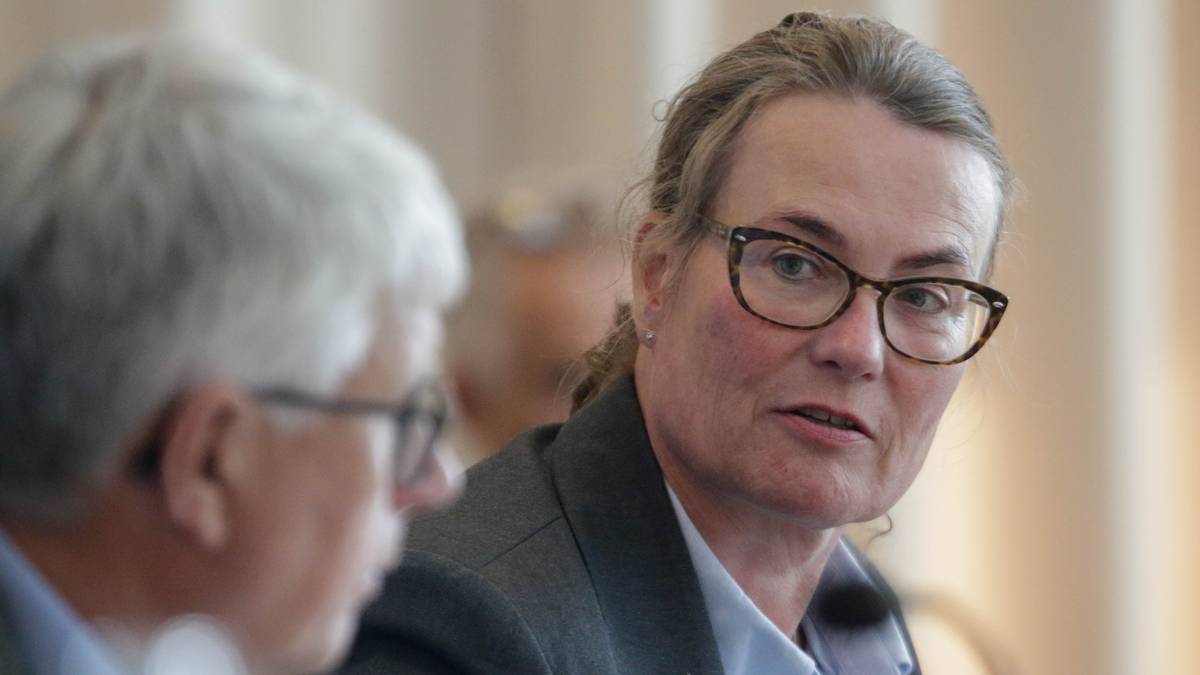 Fylkespolitikerne skal behandle Statnett-forslag