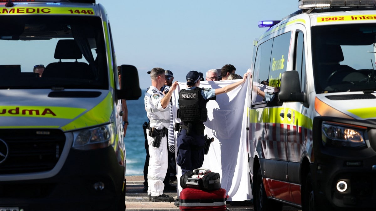 Kvinne alvorlig skadet i haiangrep i Sydney