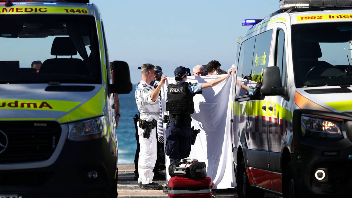 Kvinne alvorlig skadet i haiangrep i Sydney