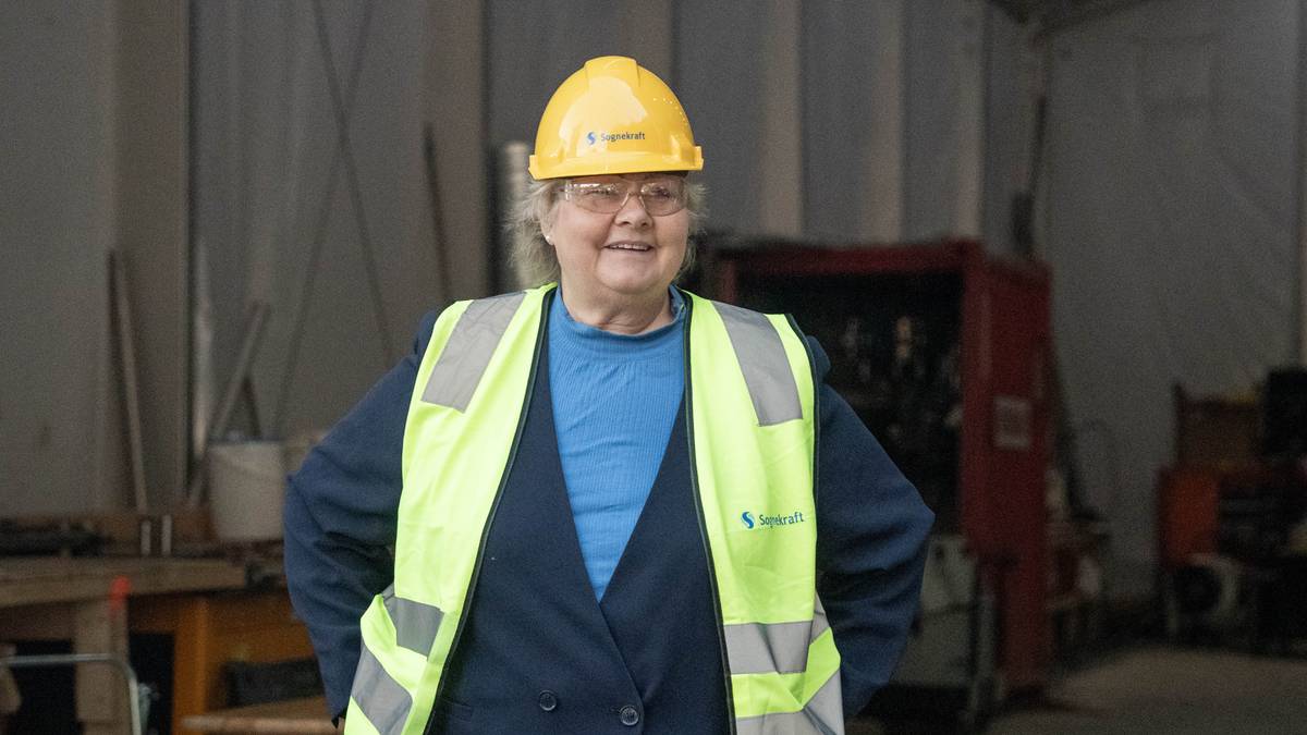 Sier nei til Aps strømpakke: Slik vil Høyre få ned regningen din