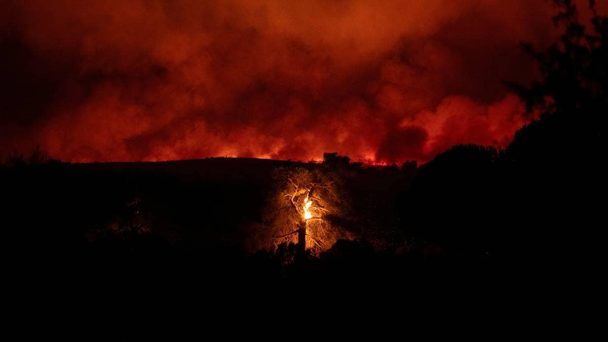 Forest fires rage around Athens and elsewhere in Europe – NRK Urix – Foreign news and documentaries